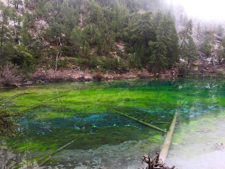 شقة Relax In Montagna باردونيكيا المظهر الخارجي الصورة